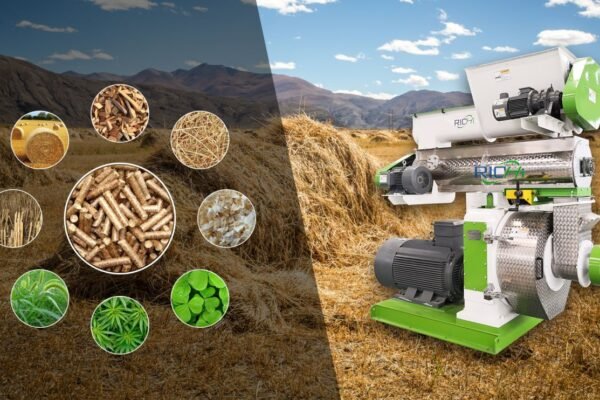 Pellet mill for wood processing